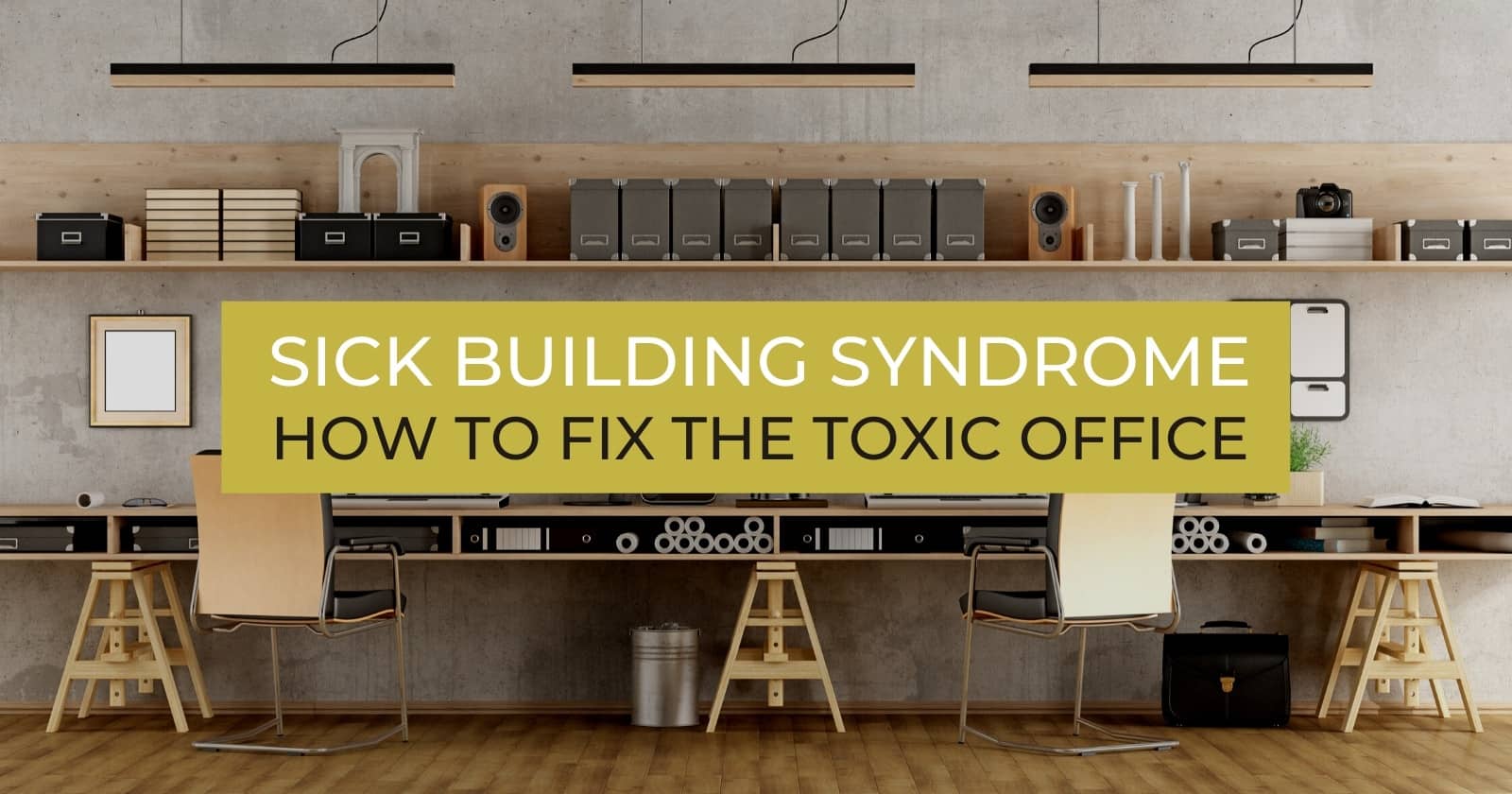 Air Quality, Ergonomics, and Lighting Sick Buildings may be Harming